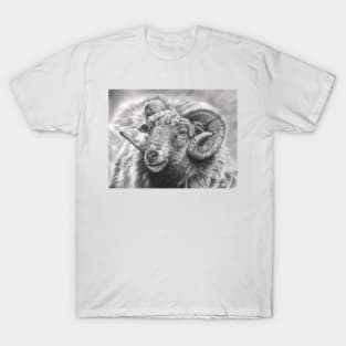 Aries T-Shirt